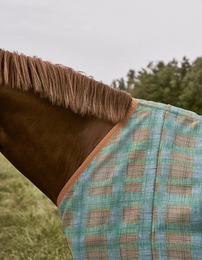 HighlandFogs_Textile_05_G3841